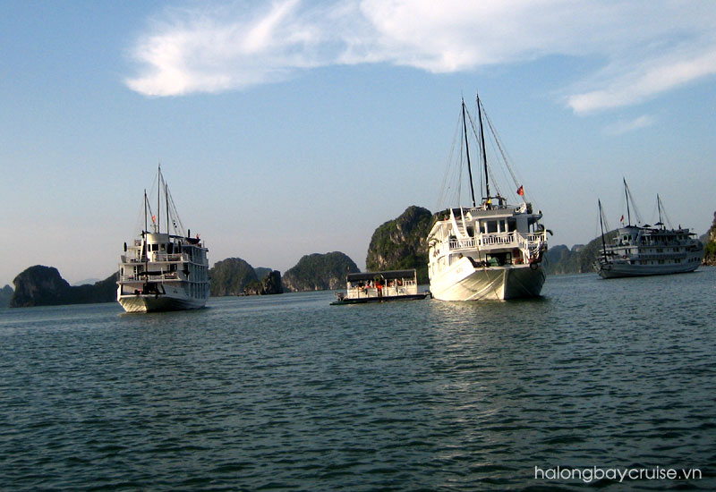 Unwind on a Halong Bay overnight cruise
