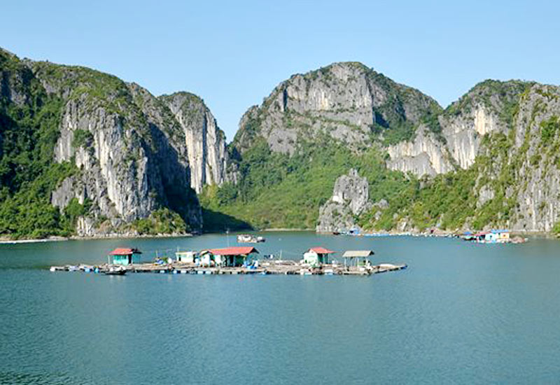 Hoa Cuong Fishing village