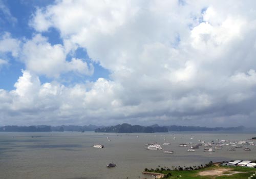 Những du thuyền lại nối nhau ra khơi