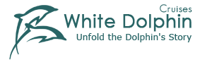 Du thuyền White Dolphin