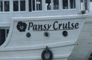 Pansy Cruise