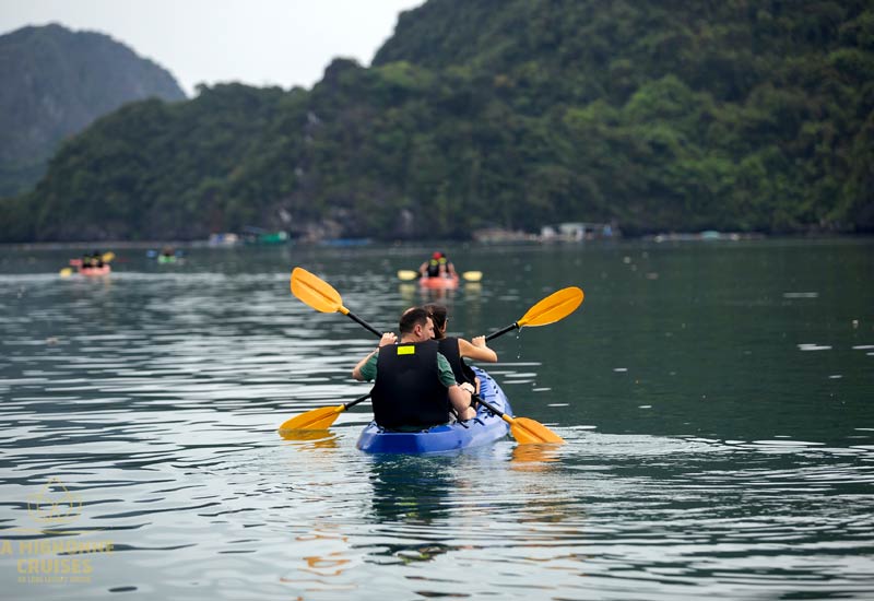 Best Things to Do on La Mignonne Cruises