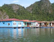 Life in Vong Vieng Fishing Village - Halong Bay