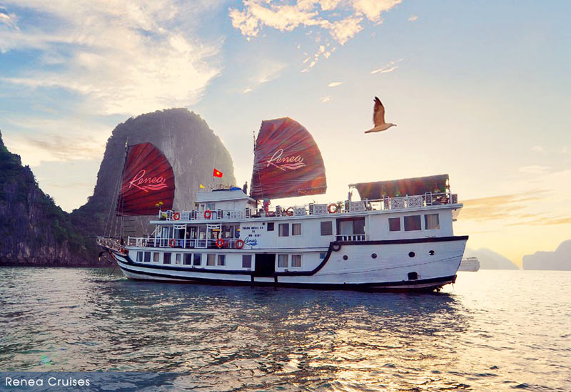 Best Things to Do on Renea Cruises