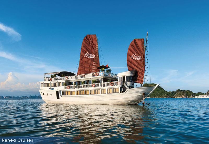 How to Book Renea Cruise?