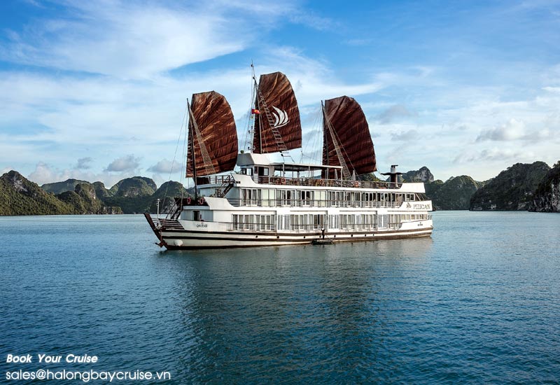 How to Book Pelican Cruise?