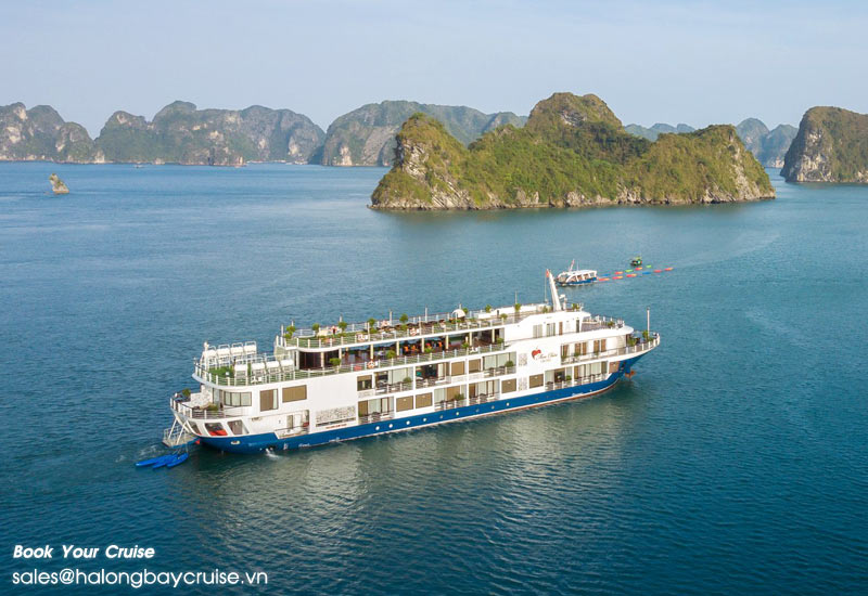 How to Book Mon Cheri Cruises?
