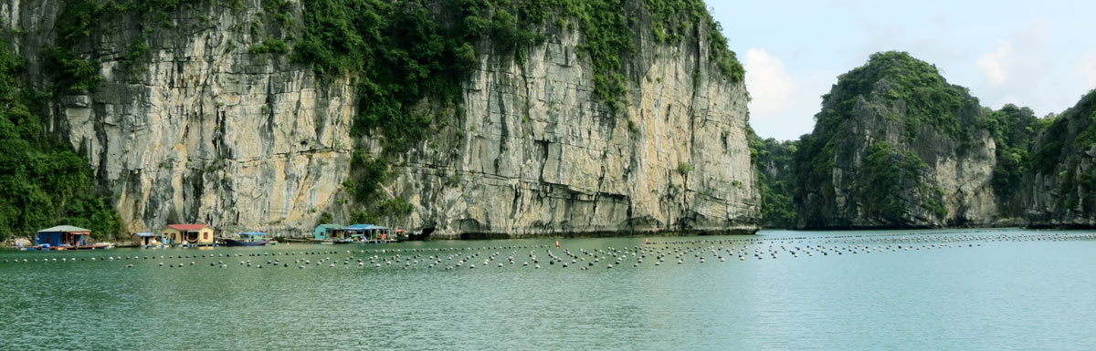 How to Book a Halong Bay Cruise from Jordan?