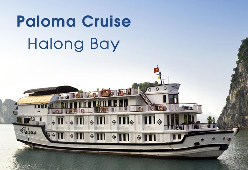 Best Things to Do on Paloma Cruises