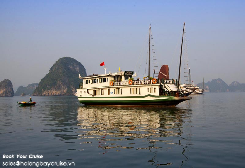 Best Things to Do on Petit White Dolphin Cruises