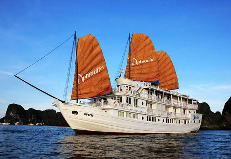 Best Things to Do on Aphrodite Cruises