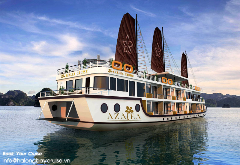 Best Things to Do on Azalea Cruises