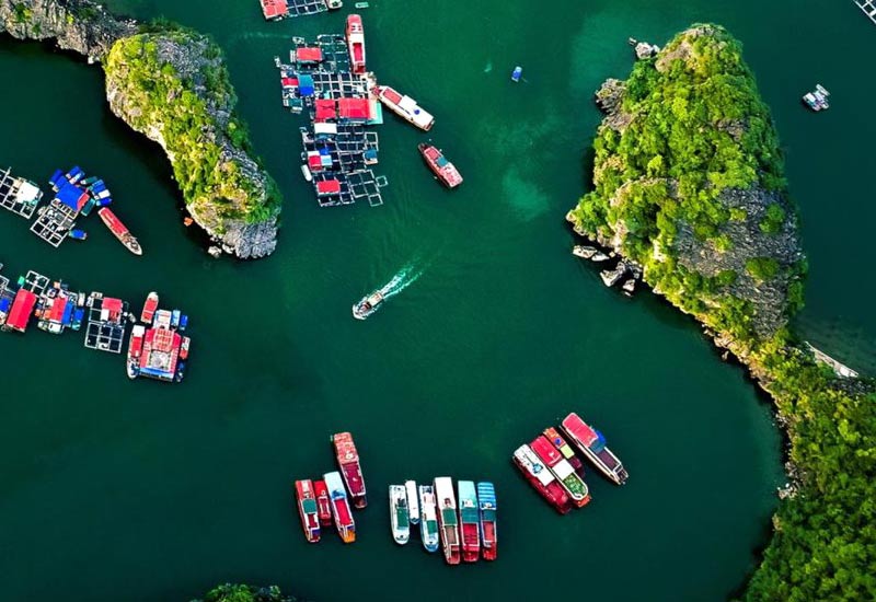What is the best way to actually book a Halong Bay cruise?