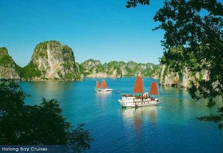 What is the best website to book Halong Bay tours?