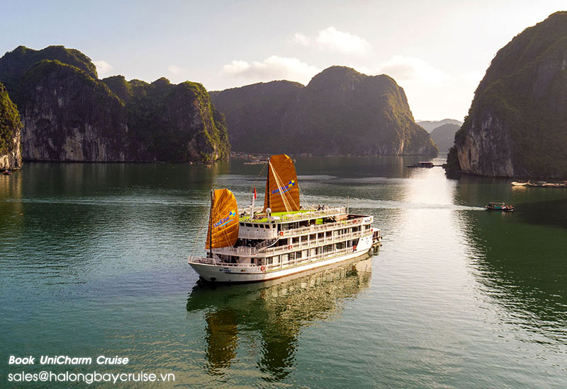 Best Things to Do on Unicharm Cruises