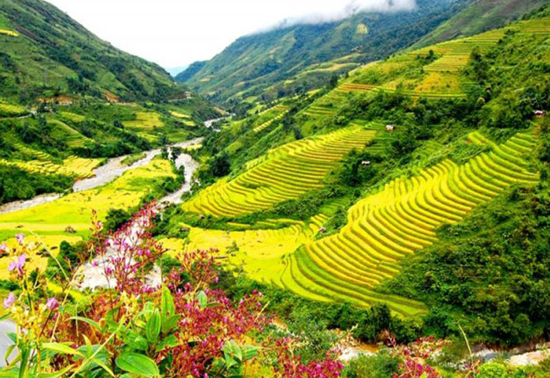 How to Get to Halong Bay from Sapa?
