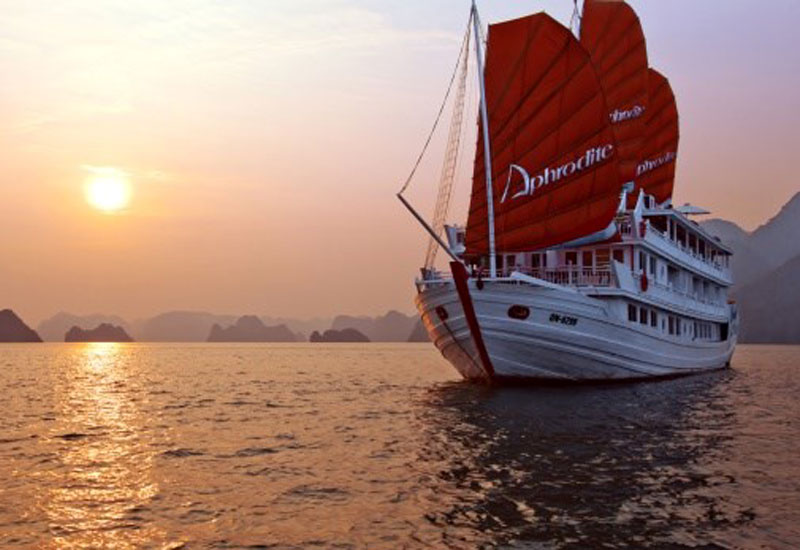 How to Book Aphrodite Cruises?