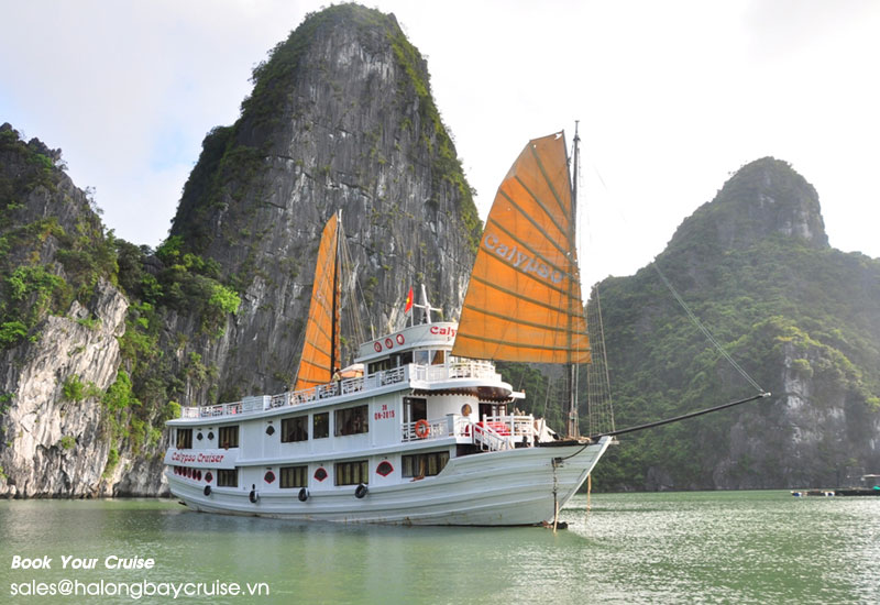 How to Book Calypso Cruiser?