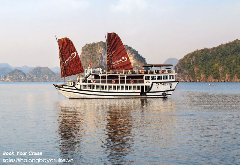 How to Book Carina Cruise?