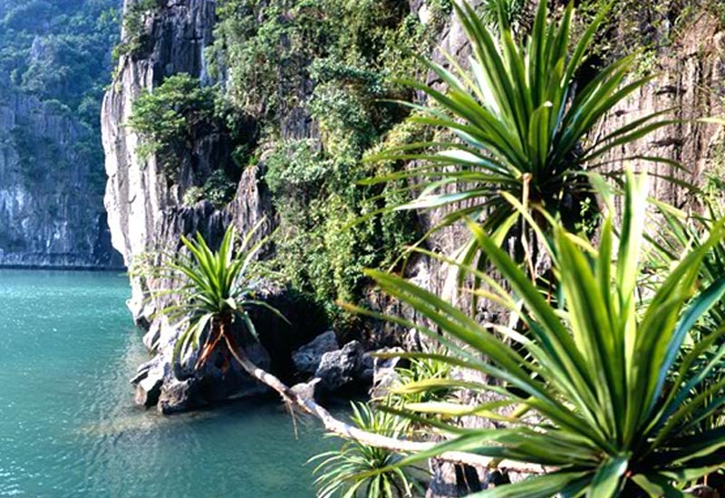 How to Book a Halong Bay Cruise from Bahrain?