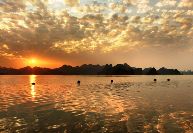 Good evening from Halong Bay! We had a beautiful sunset surprise! Did you catch anything where you're at?