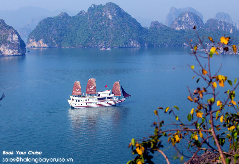 Best Things to Do on Flamingo Cruises