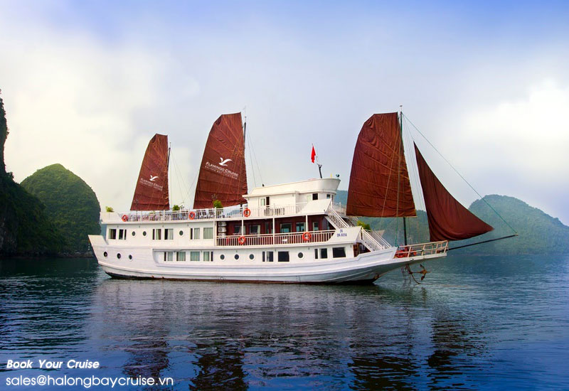 How to Book Flamingo Cruise?