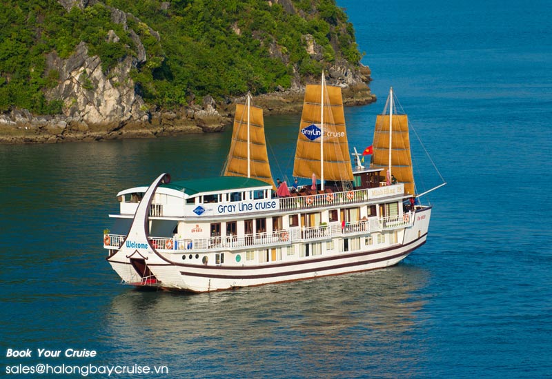 How to Book Gray Line Cruise?