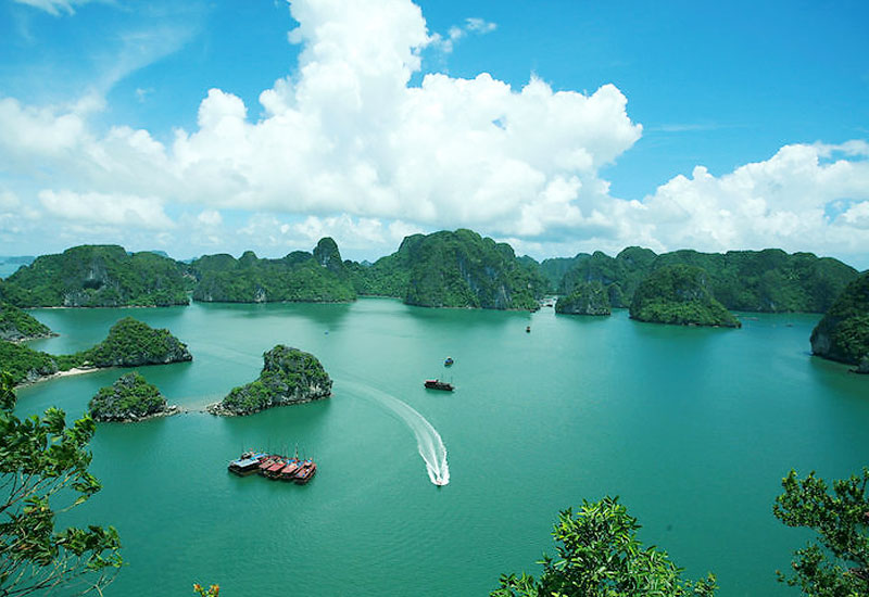 How to Book a Halong Bay Cruise from Venezuela?