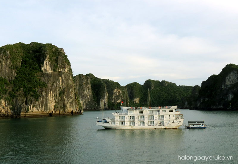 Best Things to Do on Bhaya Classic Cruises