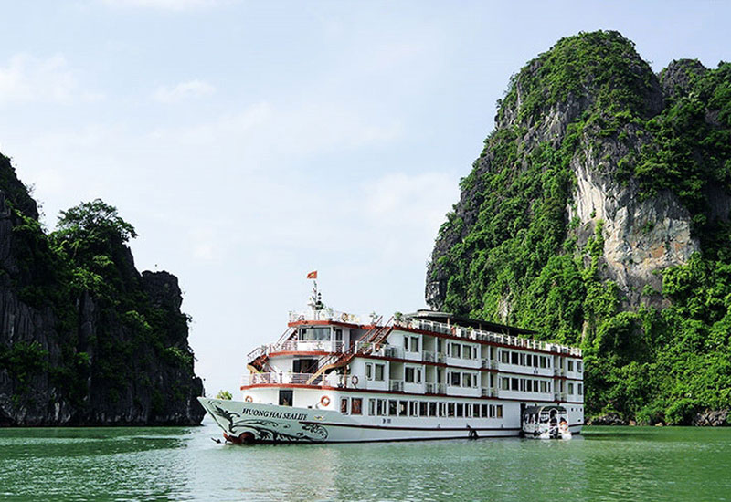 Best Things to Do on Huong Hai Sealife Cruise