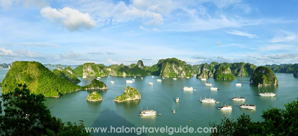 How to Book a Halong Bay Cruise from Japan?