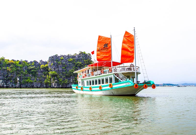 Best Things to Do on L’Azalée Cruises