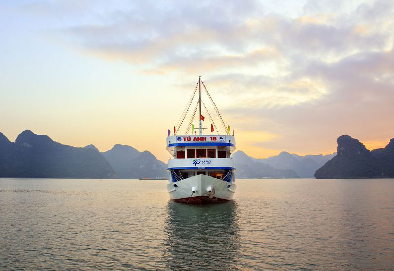 How to Book La Paci Cruise?