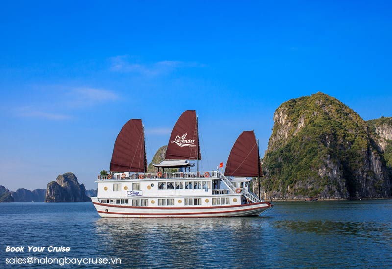 Best Things to Do on Lavender Cruise