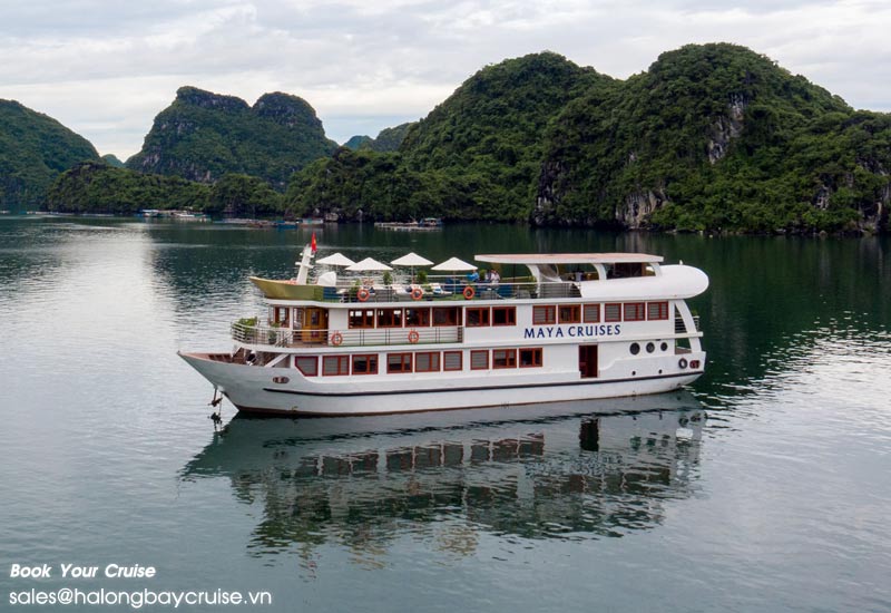 How to Book Maya Cruise?