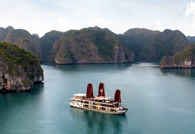 Best Things to Do on Orchid Cruises
