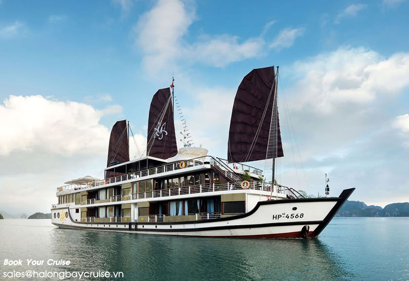 How to Book Orchid Cruise?