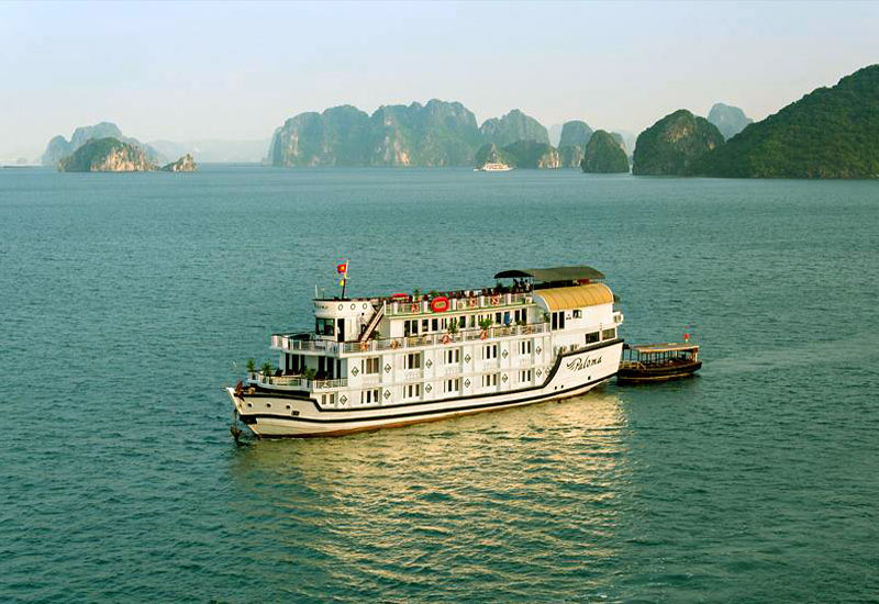 How to Book Paloma Cruise?