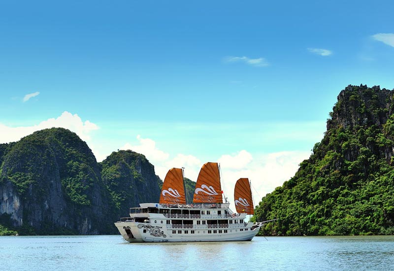 How to Book Paradise Peak Cruise?