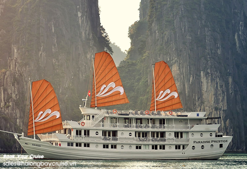 Best Things to Do on Paradise Prestige Cruises