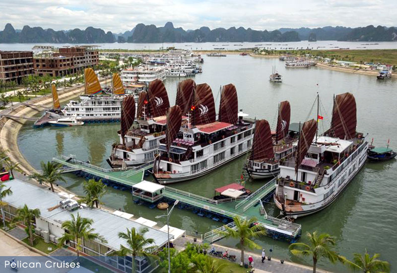Preview of the Pelican Cruises Halong Bay