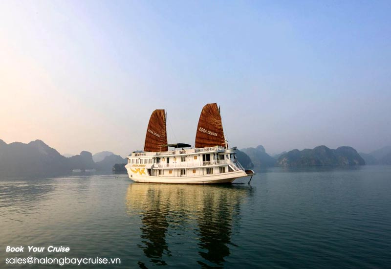 Best Things to Do on Rosa Cruises