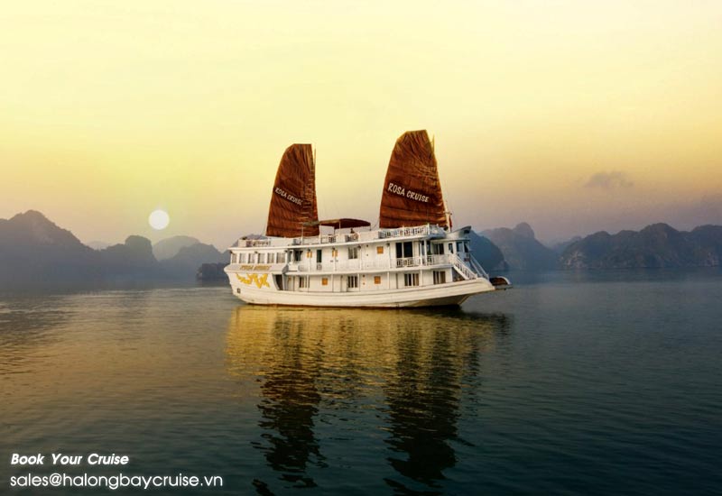 How to Book Rosa Cruise?