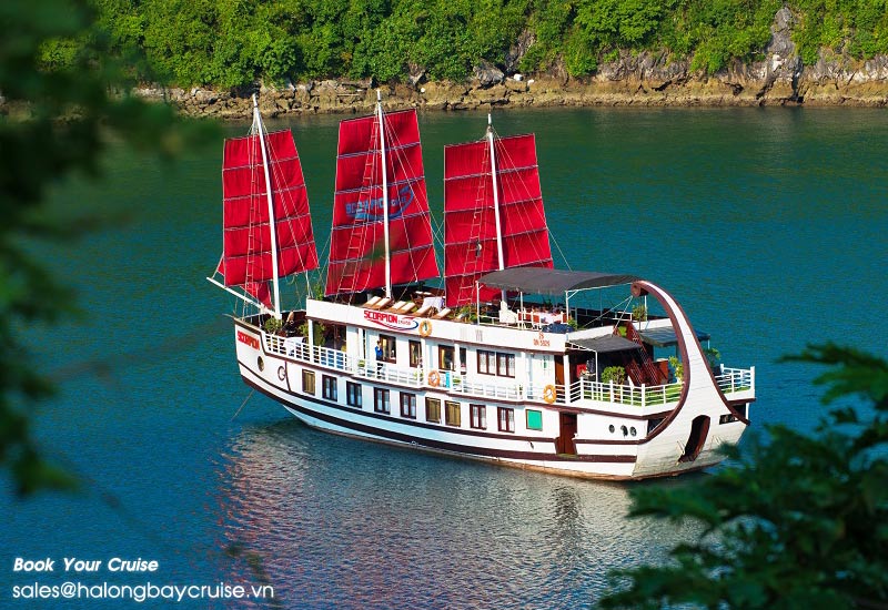 Best Things to Do on Scorpion Cruise