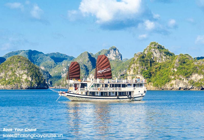 How to Book Swan Cruise?