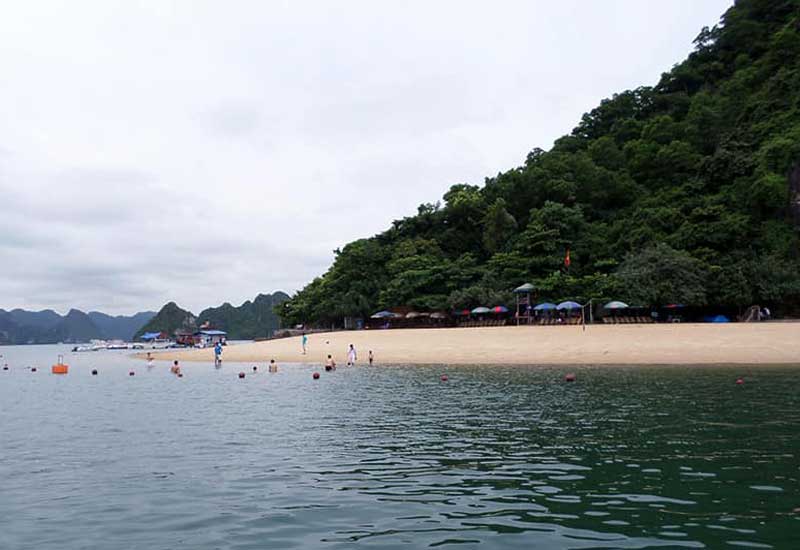How to Get to Halong Bay from Algeria?