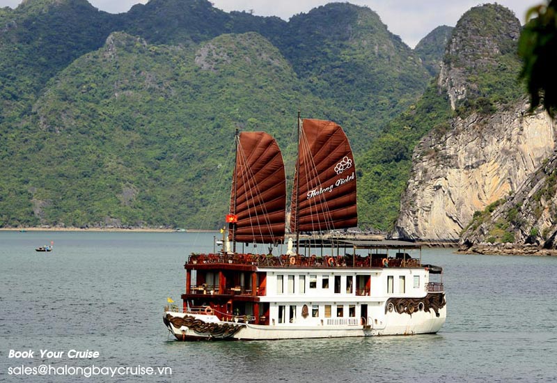 How to Book Violet Cruise?