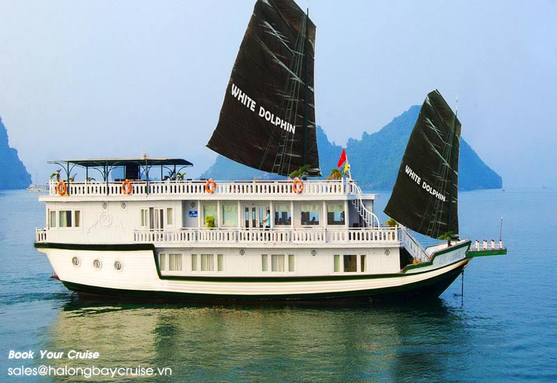 Best Things to Do on Legend White Dolphin Cruises