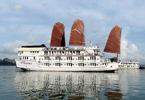 Paloma cruise